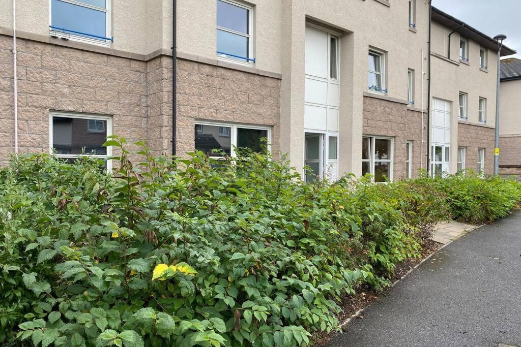 Peter Pan Apartment In The Heart Of Inverness Dalneigh エクステリア 写真